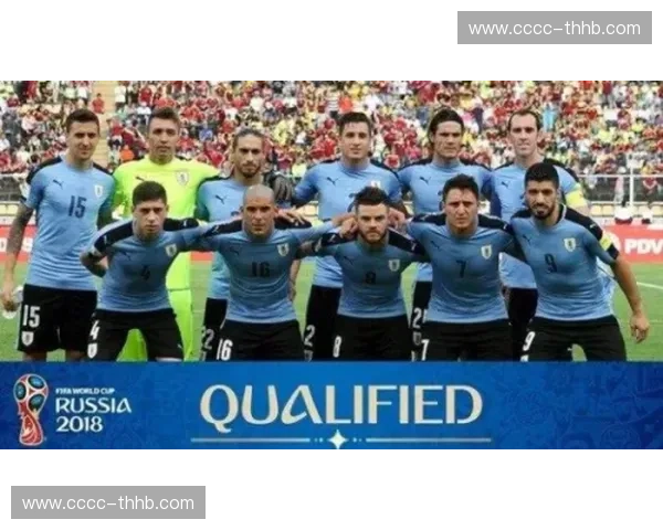 2010年南非世界杯回顾：传奇赛事与历史时刻的完美交汇